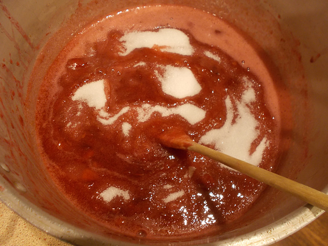 wpd[25] - making plum jam {2 of 4}