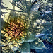 Water Fantasy