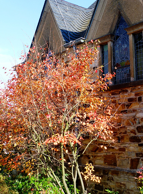 DE - Bad Neuenahr-Ahrweiler - Autumn at Bachem