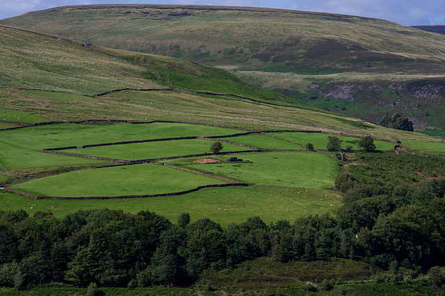 Longdendale Field boundaries