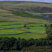 Longdendale Field boundaries