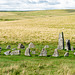 Down Tor Stone Row - 20230815- DSC0120