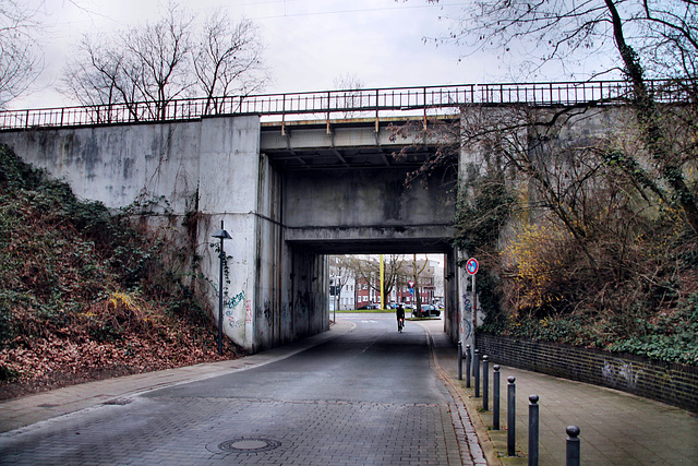 Am Bugapark, Brücke der Emschertalbahn (Gelsenkirchen-Horst) / 2.03.2024