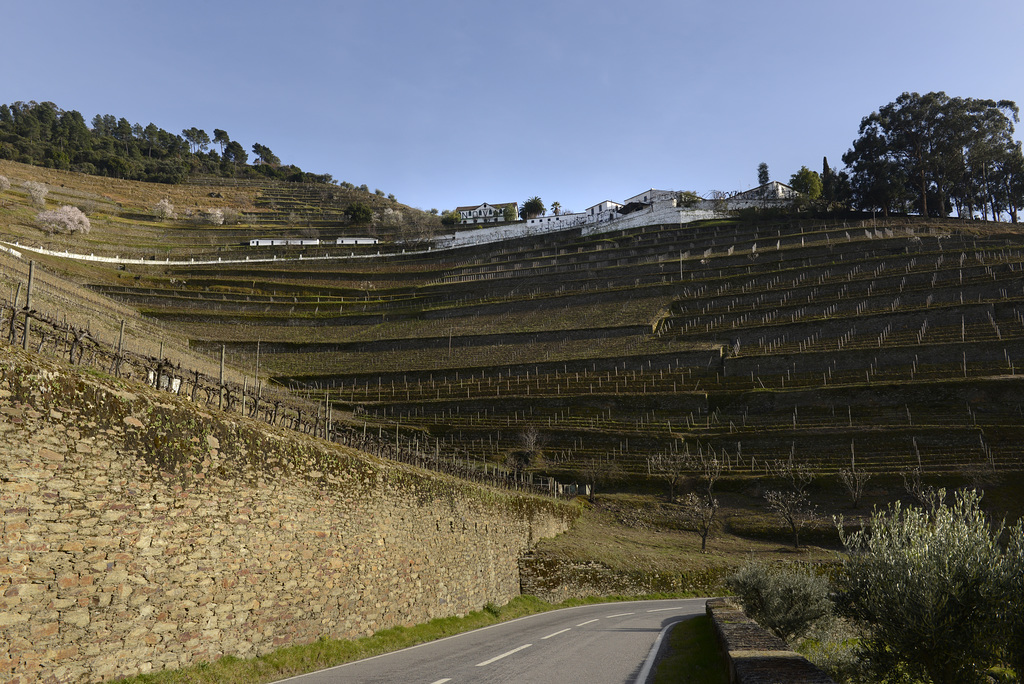 Vale de Mendiz, Alijó, Quinta do Noval