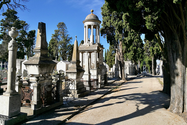 Lisbon 2018 – Ajuda cemetery