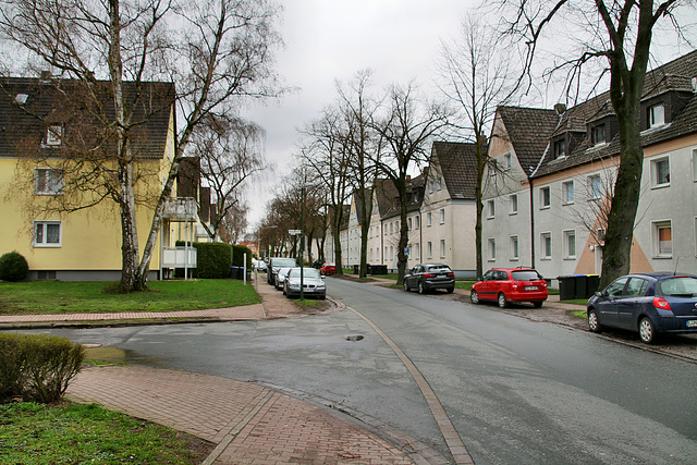 Schulenkampstraße (Lünen-Brambauer) / 16.03.2019