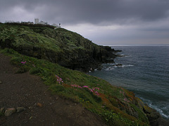 LIZARD POINT