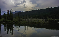 am Athabasca River (© Buelipix)