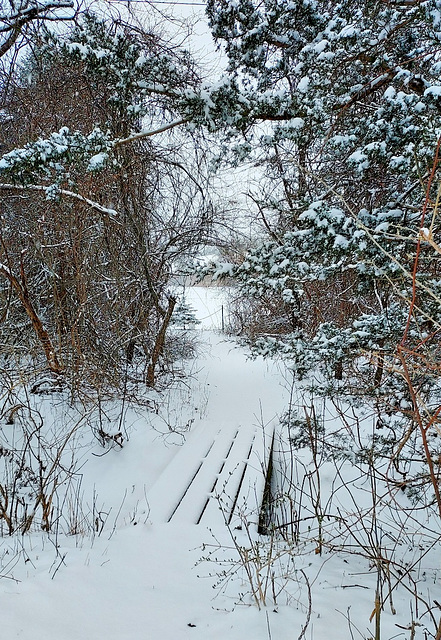 March 22nd in Michigan.