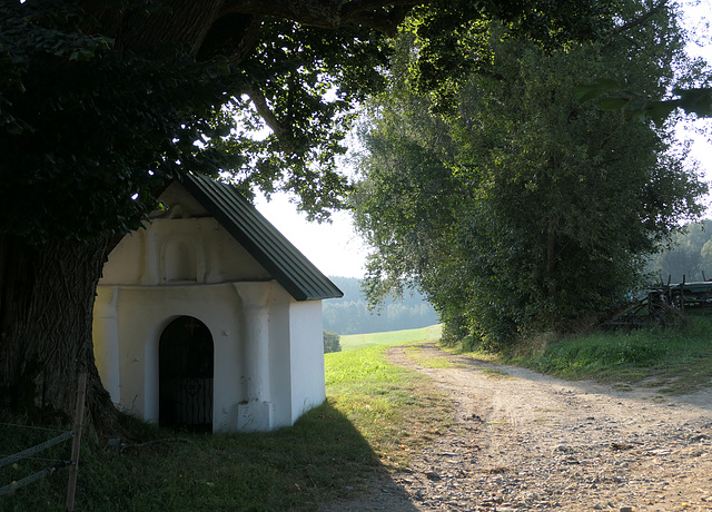 Dippersreuth, Feldkapelle (PiP)