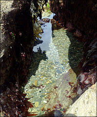 Rock pool, Greenbank Cove