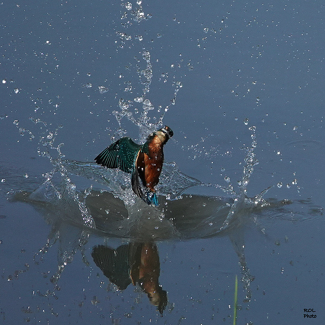 Sortie d'eau