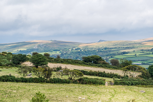 Dartmoor - 20150831