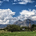 The Huachuca Mountains