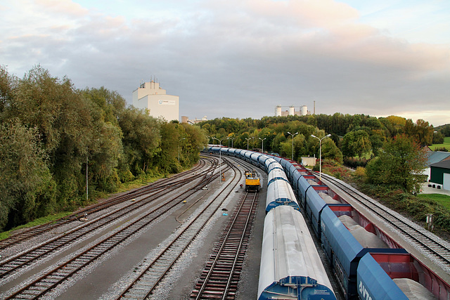 Die Angertalbahn nahe des Kalkwerks Flandersbach (Wülfrath-Rohdenhaus) / 8.10.2017