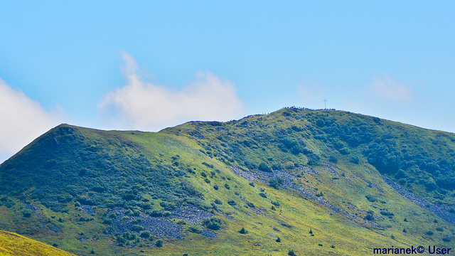 Tarnica 1346 m,Karpaten Poland