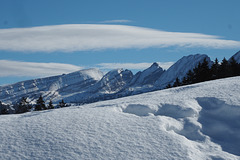 LSG5 2015-01-01 00'00'00 E-M5 0329