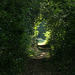 into the light