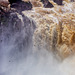 Vencejos  (Swifts) at Iguazu Falls