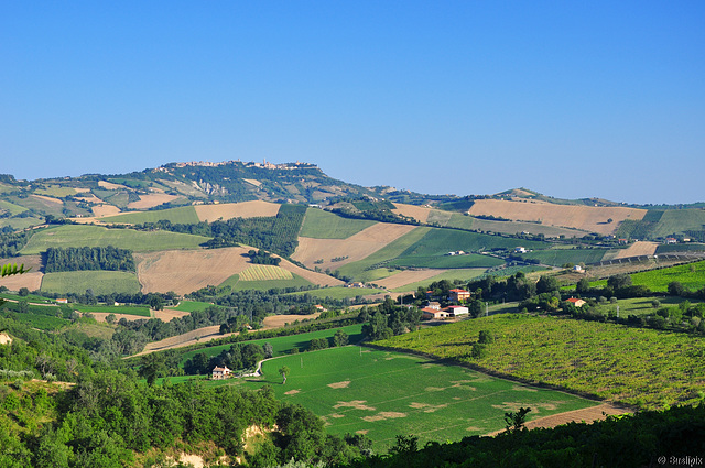 Hügellandschaft der Marke (© Buelipix)