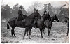 Hunt Meet at Etwall Hall, Derbyshire 23rd December 1920  photo by Ernest Aberahams of Burton upon Trent