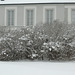 Winter At Schloss Nymphenburg
