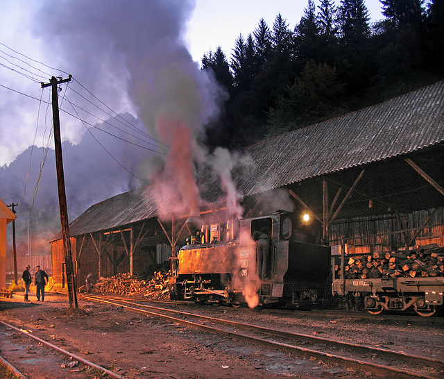 Evening at the wood store