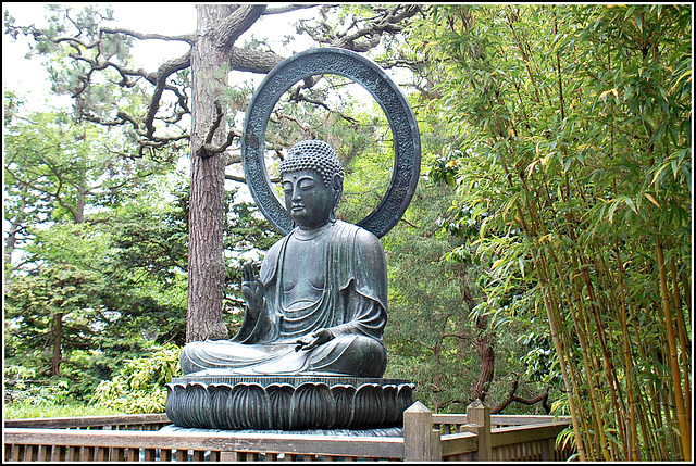 Buddha ~ Japanese Tea Garden