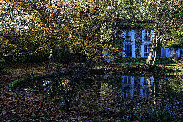 Au bord de l'étang