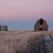 barn and granaries at dawn