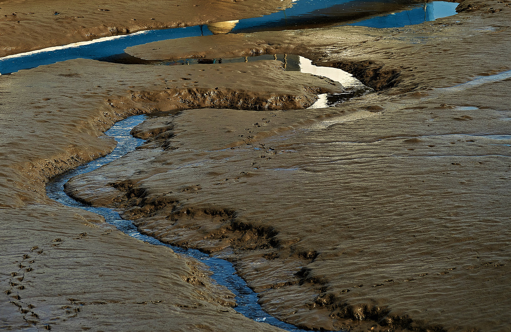 Low Tide