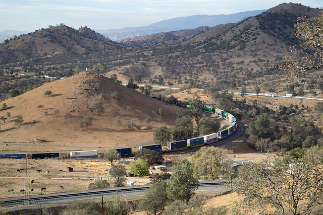 Tehachapi Loop CA stall (1181)