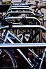 Campus Bikes