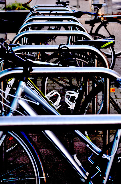 Campus Bikes