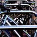 Campus Bikes