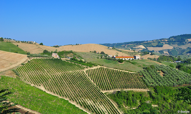 Hügellandschaft der Marke (© Buelipix)