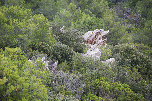 rochers penchés (Sémaphore), Porquerolles