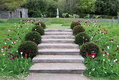 Steps, yew-balls, tulips, obelisk