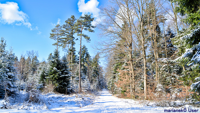 Journée d'hiver ensoleillée