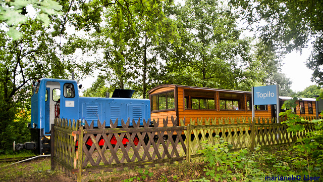 Forest Railway of the Białowieża Forest