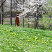 Frühling am Stadtpark