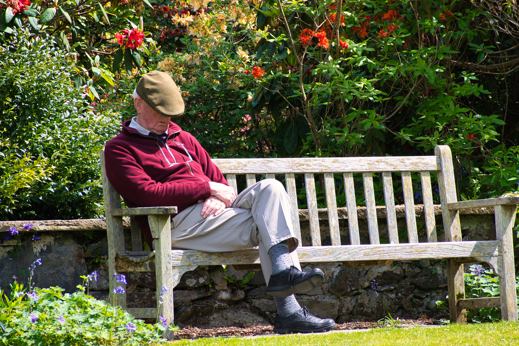 Happy bench man (HBM)