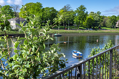 Wee Boat