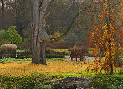 Den Herbst genießen...