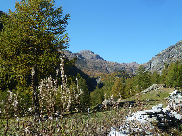 Herbstidylle am Simplonpass