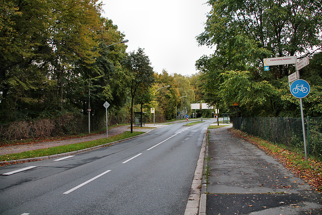 Flanderbacher Straße (Wülfrath-Rohdenhaus) / 8.10.2017