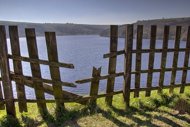 Happy Fence Friday