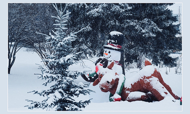 “The snow doesn't care whom it touches.”