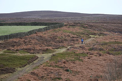 Middle Moor track