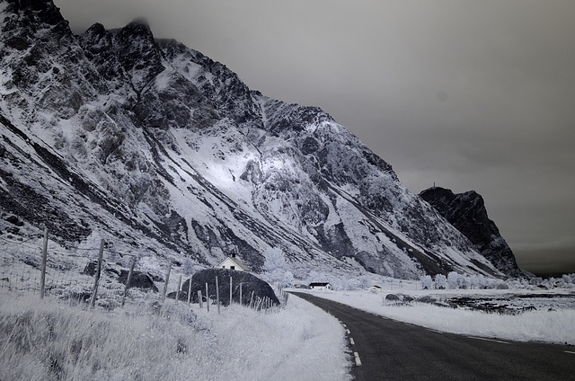 Lofoten - Hadseloya